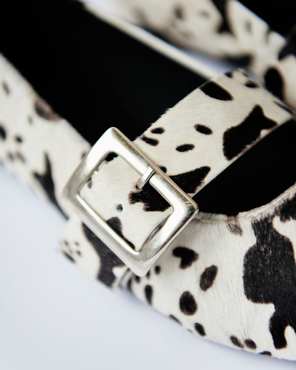 COW POINTER FLATS